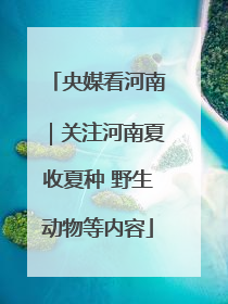 央媒看河南｜关注河南夏收夏种 野生动物等内容